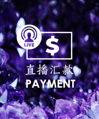 直播汇款 Live Payment